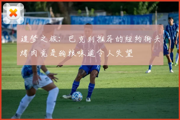 追梦之旅：巴克利推荐的纽约街头烤肉竟是狗粮味道令人失望