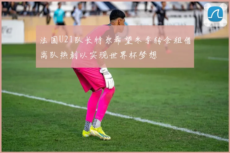 法国U21队长特尔希望冬季转会租借离队热刺以实现世界杯梦想