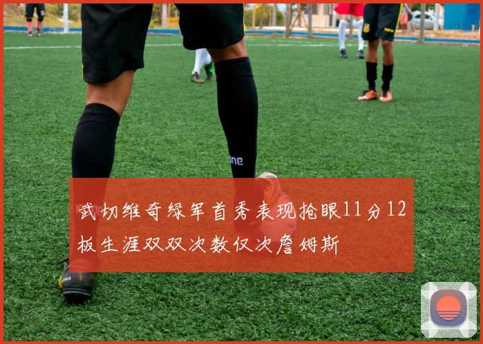 武切维奇绿军首秀表现抢眼11分12板生涯双双次数仅次詹姆斯